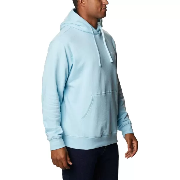 Columbia Mens Viewmont Ii Sleeve Graphic HoodieSky BlueWhite