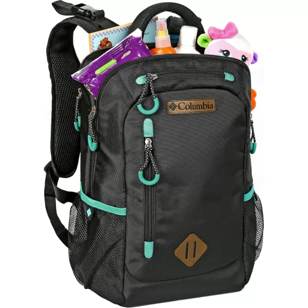 Columbia Summit Rush  Diaper backpack greyBlack Carson Pass