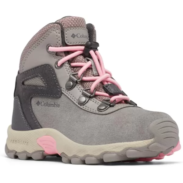 Columbia UnisexChild Newton Ridge Amped Hiking ShoeStratus  Pink Orchid