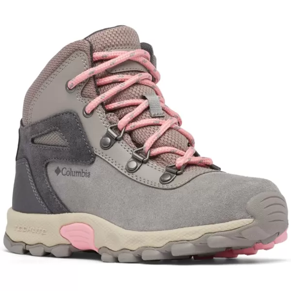 Columbia UnisexChild Newton Ridge Amped Hiking ShoeStratus  Pink Orchid