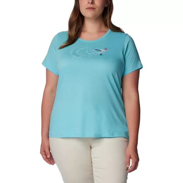 Columbia Womens Daisy Days Short Sleeve Graphic TeeAquamarine HeatherFancy Flyer