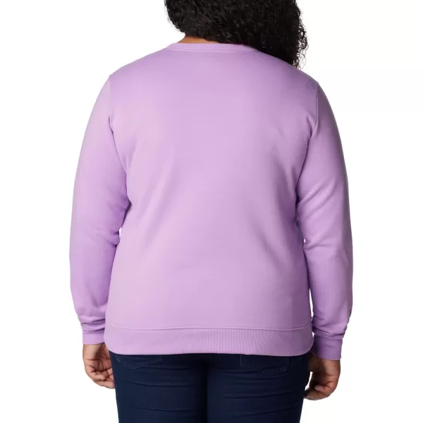 Columbia Womens Hart Mountain Ii Graphic CrewGumdrop Bearly Ice Blooms