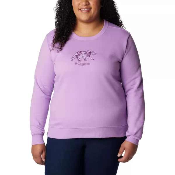 Columbia Womens Hart Mountain Ii Graphic CrewGumdrop Bearly Ice Blooms