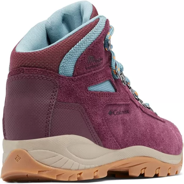 Columbia Womens Newton Ridge Plus Waterproof Amped Hiking BootEpic Plum  Storm