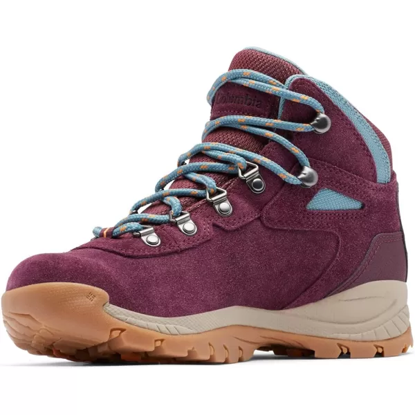 Columbia Womens Newton Ridge Plus Waterproof Amped Hiking BootEpic Plum  Storm