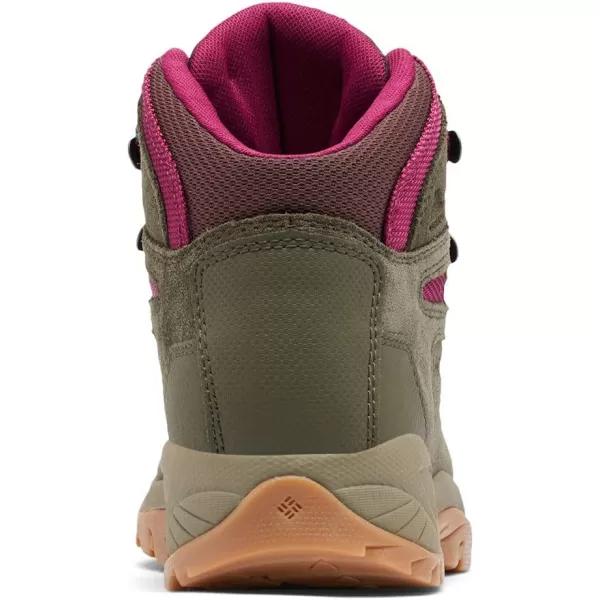 Columbia Womens Newton Ridge Plus Waterproof Amped Hiking BootPeatmoss  Red Onion