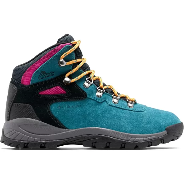 Columbia Womens Newton Ridge Plus Waterproof Amped Hiking BootPoseidon  Black