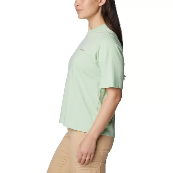 Columbia Womens North Cascades Graphic Short Sleeve TeeSage LeafSimple Gorge