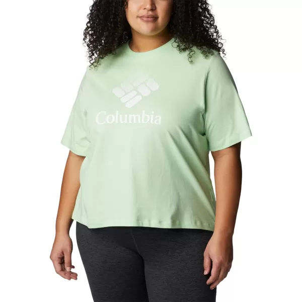 Columbia Womens North Cascades Relaxed TeeKey WestCsc Stacked Gradient Graphic