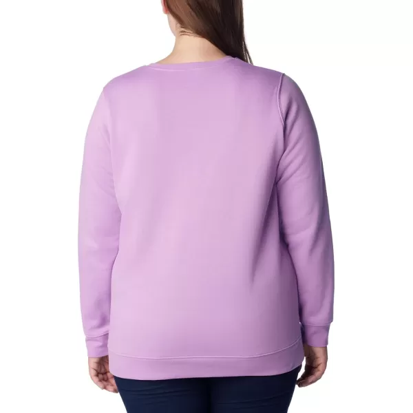 Columbia Womens Trek Graphic CrewPurple