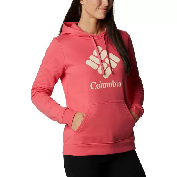 Columbia Womens Trek Graphic HoodieBright GeraniumStacked Gem