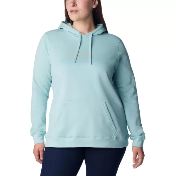 Columbia Womens Trek Graphic HoodieGreen