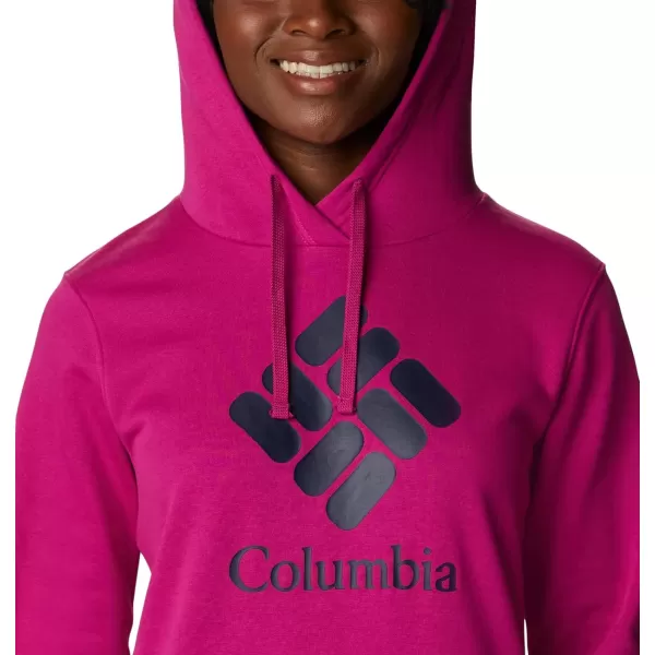 Columbia Womens Trek Graphic HoodieWild FuchsiaStacked Gem