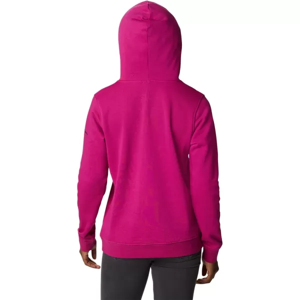 Columbia Womens Trek Graphic HoodieWild FuchsiaStacked Gem