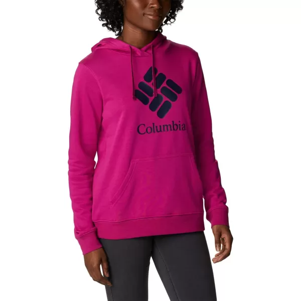 Columbia Womens Trek Graphic HoodieWild FuchsiaStacked Gem