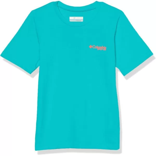 Columbia Boys PFG Short Sleeve Graphic TeeOcean TealPfg Elements Graphic