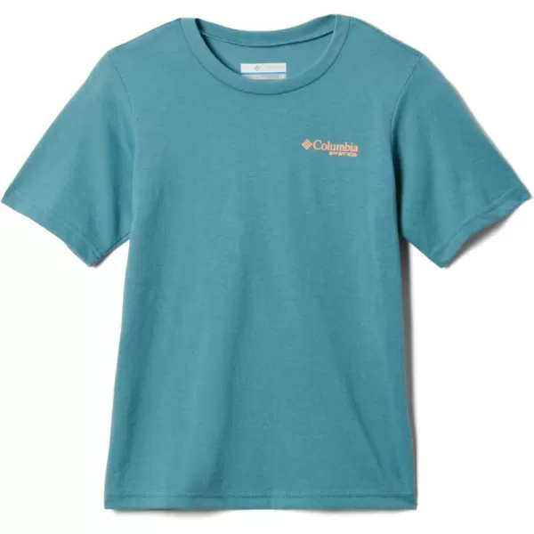 Tranquil Teal, Pfg Elements Graphic