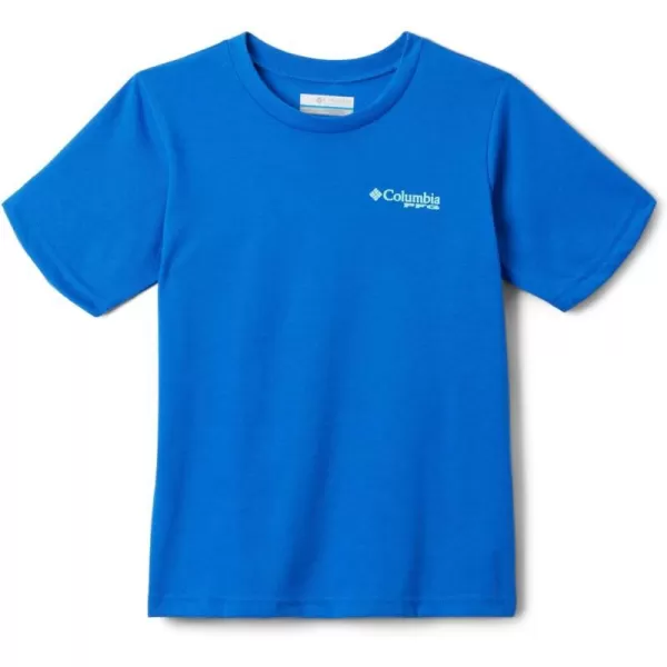 Vivid Blue/Pfg Elements Graphic