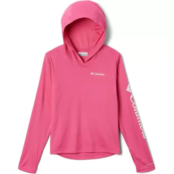 Columbia Kids Fork Stream HoodieWild Geranium