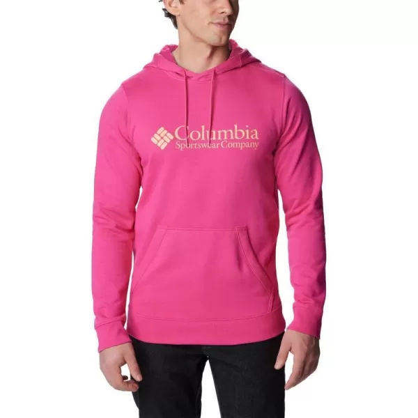 Columbia Mens CSC Basic Logo Ii HoodieFuchsia FizzCsc Retro Logo