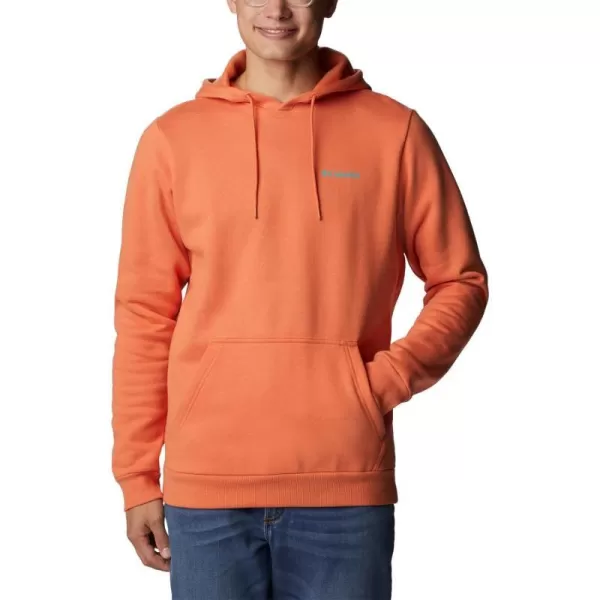 Columbia Mens CSC Graphic HoodieDesert OrangeBordered Beauty