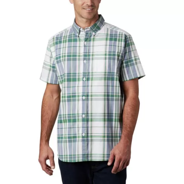 True Green Large Plaid