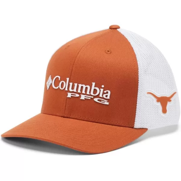 Texas Longhorns Tex - Cedar