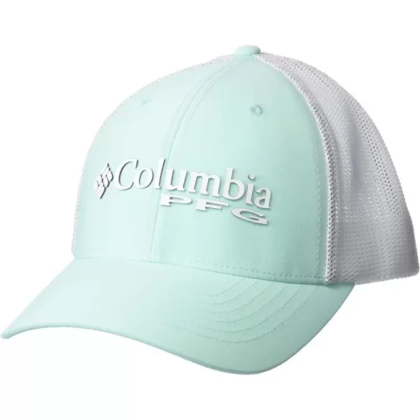 Columbia PFG Logo 110 Snap BackGulf StreamWhite