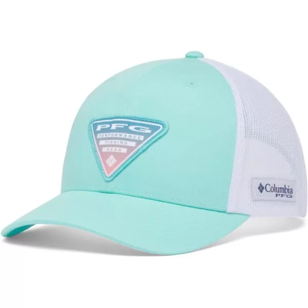 Columbia PFG Patch Mesh Snap BackGulf StreamWhiteTriangle Gradient