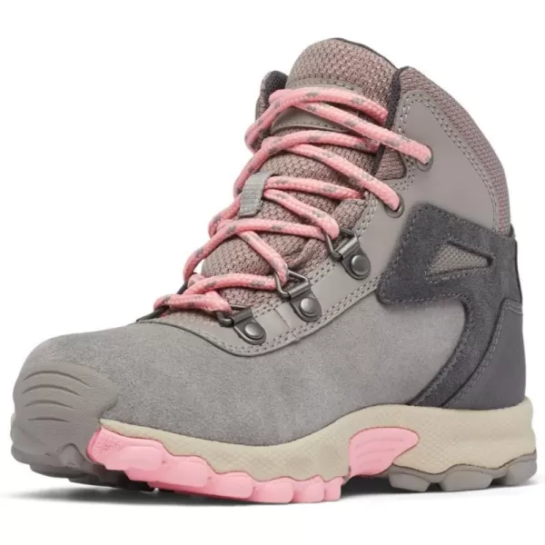 Columbia UnisexChild Newton Ridge Amped Hiking ShoeStratus  Pink Orchid