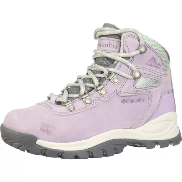 Columbia Womens Newton Ridge Plus Waterproof Amped Hiking BootMorning Mist  Nimbus Grey