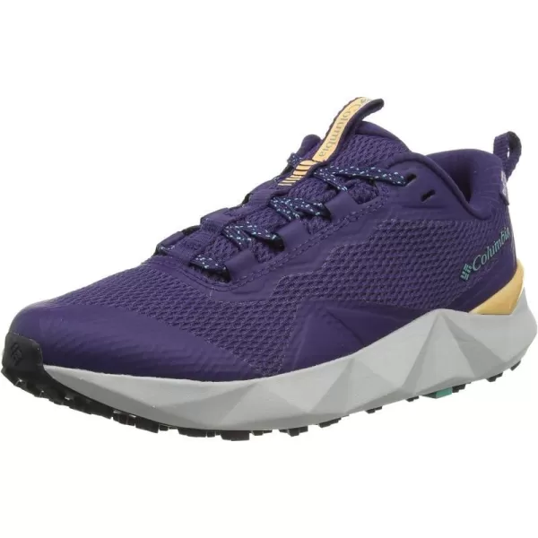 Columbia Womens Trailstorm Peak Mid Hiking ShoeDeep Purple Dolphin