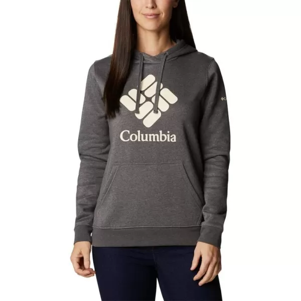 Columbia Womens Trek Graphic HoodieCharcoal HeatherStacked Gem