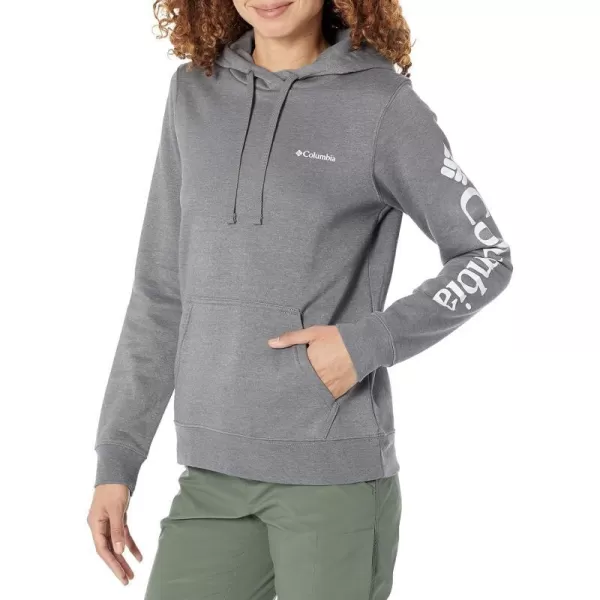 Columbia Womens Trek Graphic HoodieCity Grey Heather