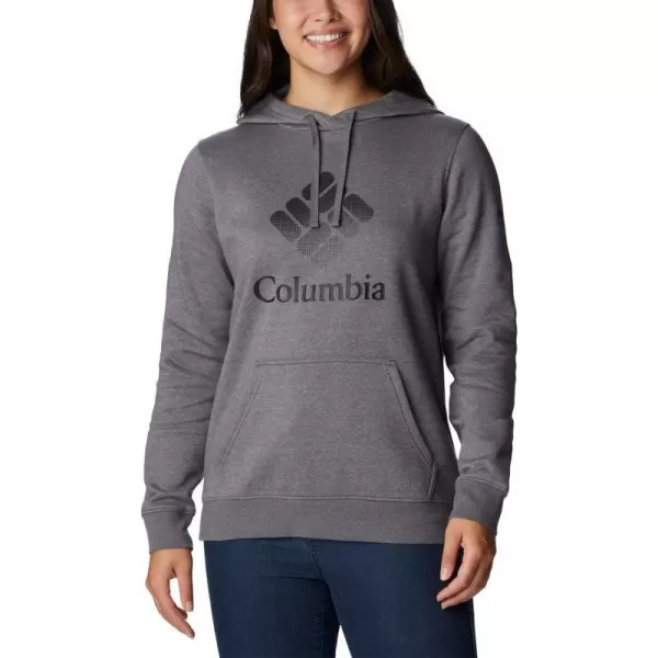 Columbia Womens Trek Graphic HoodieCity Grey HeatherBlack Csc Stacked Logo