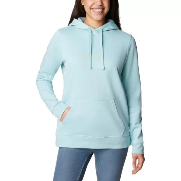 Columbia Womens Trek Graphic HoodieGreen