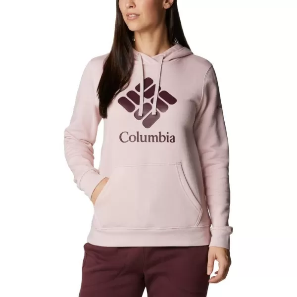 Columbia Womens Trek Graphic HoodieMineral PinkStacked Gem