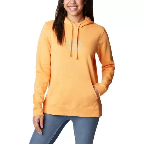 Columbia Womens Trek Graphic HoodieOrange