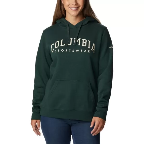 Columbia Womens Trek Graphic HoodieSpruceCsc Collegiate