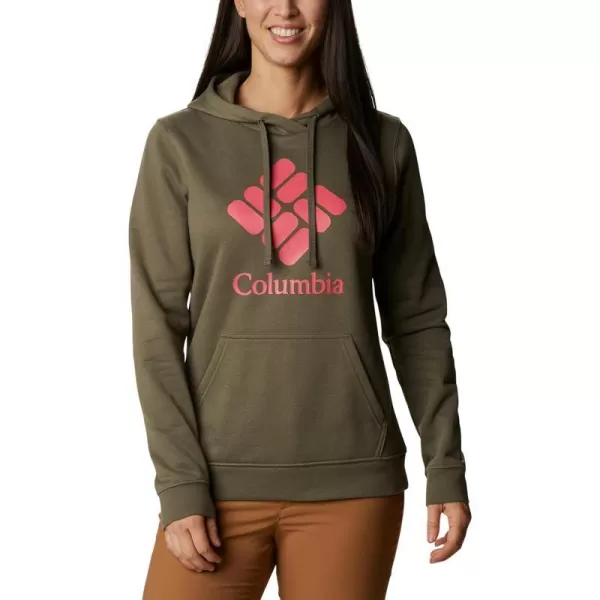 Columbia Womens Trek Graphic HoodieStone GreenStacked Gem