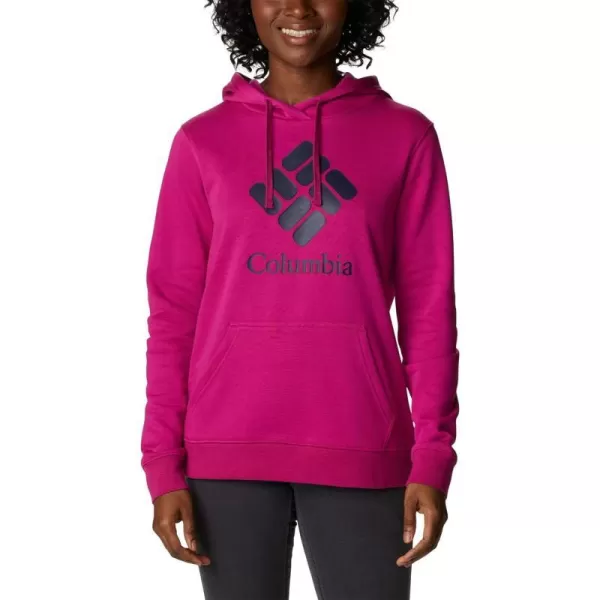 Columbia Womens Trek Graphic HoodieWild FuchsiaStacked Gem