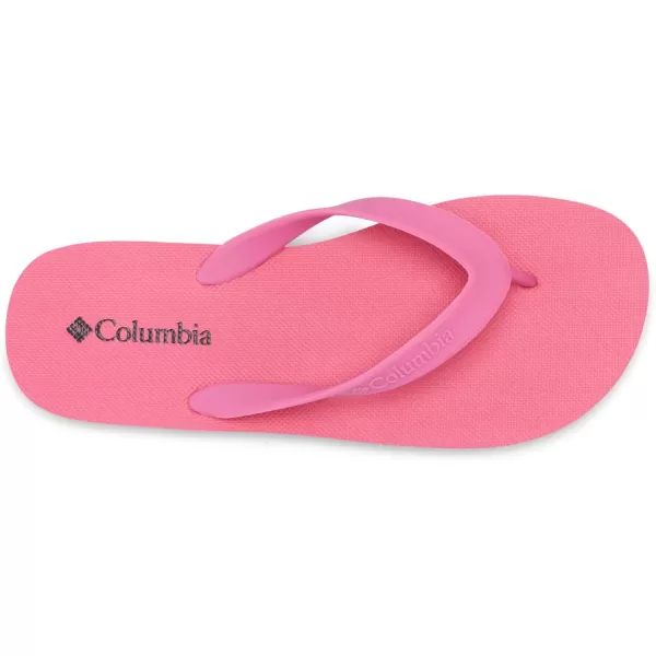 Columbia Womens Sun Trek Flip Sport SandalWild GeraniumBlack