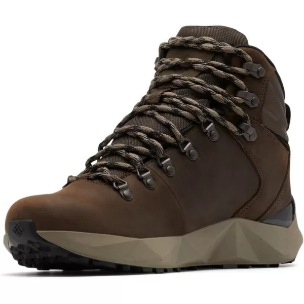 Columbia Mens Facet Sierra Outdry Hiking ShoeCordovanBlack