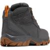 imageColumbia Mens First Generation Newton Ridge Plus Ii Suede WaterproofDark Grey  Gold Amber