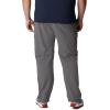 imageColumbia Mens Silver Ridge Convertible Hiking PantCity Grey