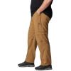 imageColumbia Mens Silver Ridge Utility Convertible PantDelta