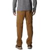 imageColumbia Mens Silver Ridge Utility Convertible PantDelta