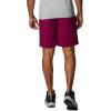 imageColumbia Mens Washed Out Cargo ShortRed Onion