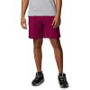 imageColumbia Mens Washed Out Cargo ShortRed Onion