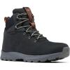 imageColumbia Mens Landroamer Explorer Waterproof Nubuck Hiking BootBlackCanyon Sun